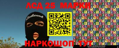 гашик Новокубанск