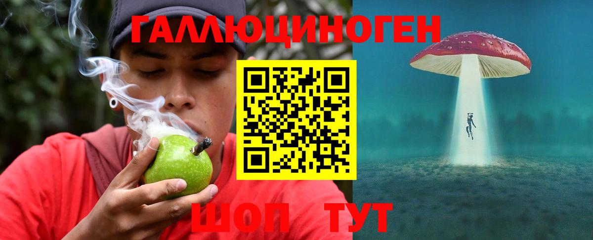 Топки  даркнет сайт  Вход с VPN  Галлюциногенные грибы мухоморы 